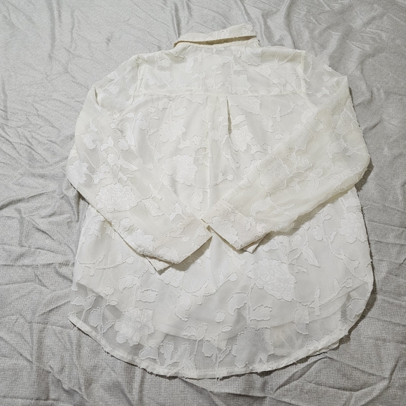 Pretty Garden Romantic Sheer Chiffon Textured Blouse Button Down Cream Small - Picture 12 of 16